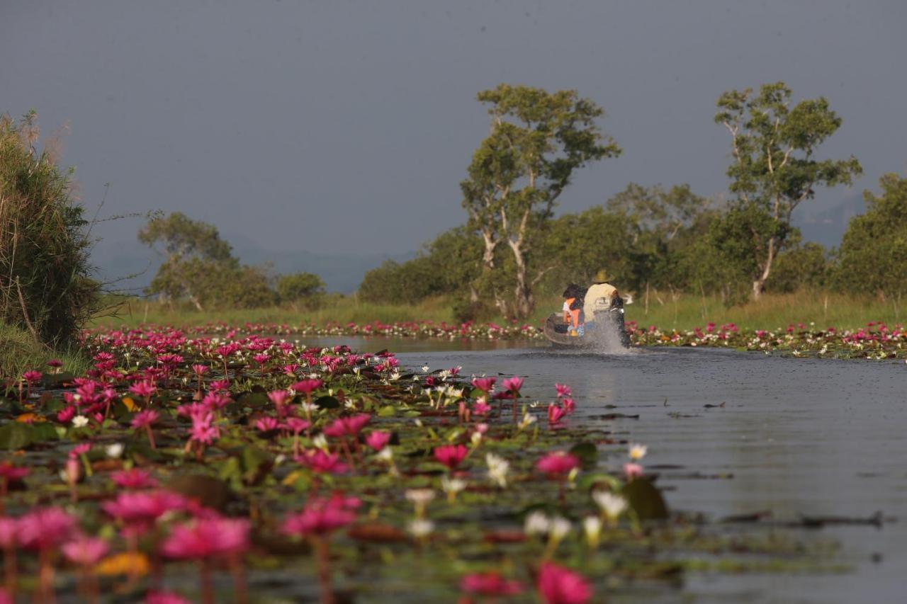 ホテル Baan​ Tonlamphu​ Pakpra パッタルン エクステリア 写真
